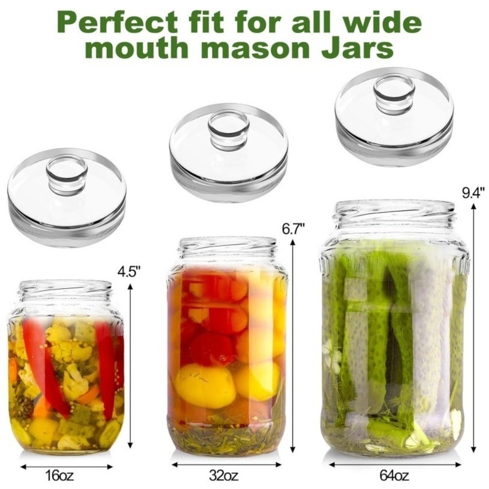 Pesi in Vetro per Fermentazion - Fermentation Crock recensione e prezzo